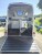 Careliner L Pferdeanhnger